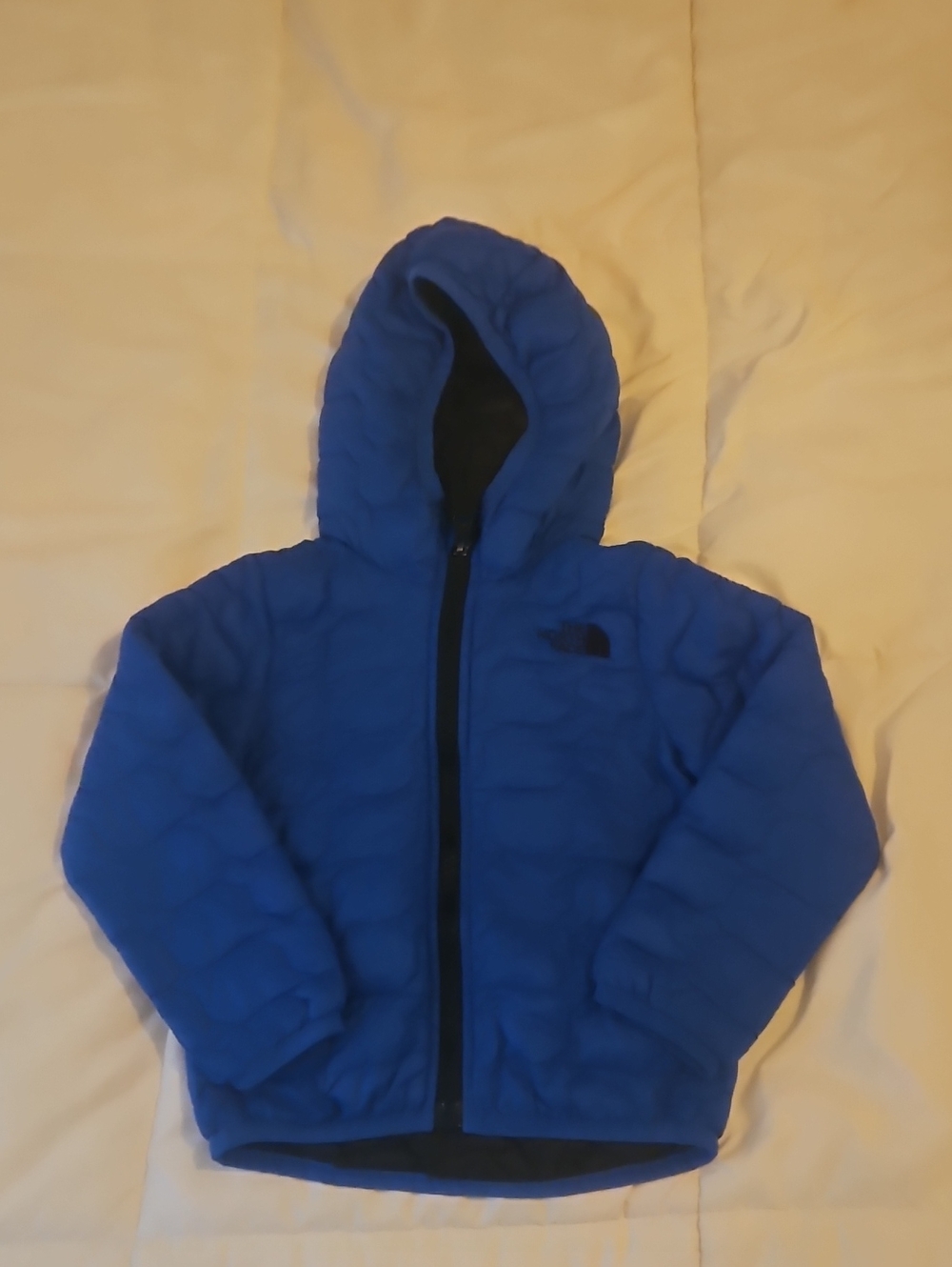 The North Face Kids Royal Blue Hooded Puffer Jacket